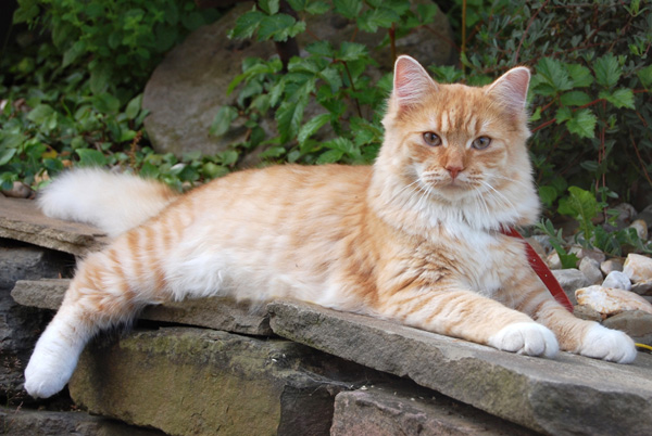 am schönsten ist es draussen.jpg